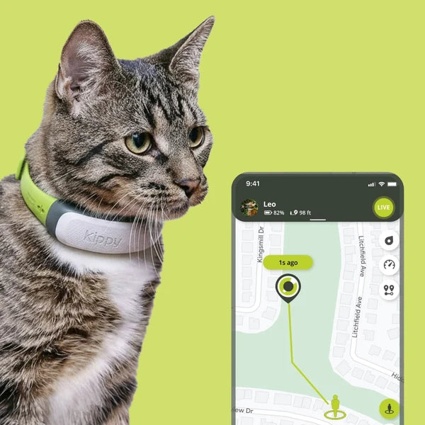 CatTrack™ Localizador GPS Inteligente para Gatos